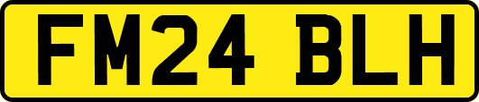 FM24BLH