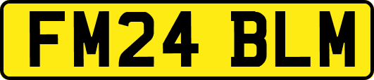 FM24BLM