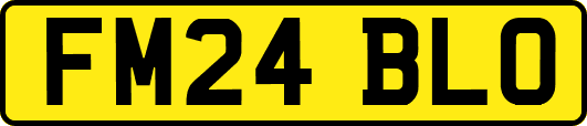 FM24BLO