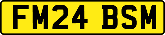 FM24BSM