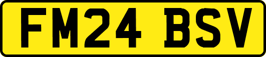 FM24BSV