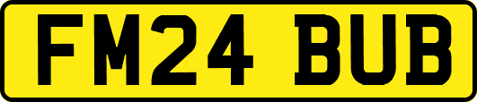 FM24BUB