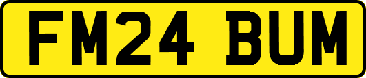 FM24BUM