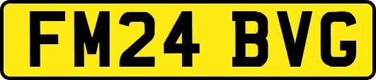 FM24BVG