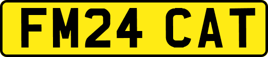 FM24CAT