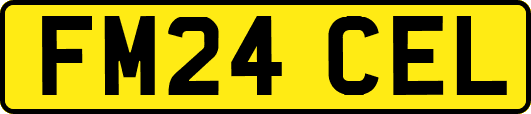 FM24CEL
