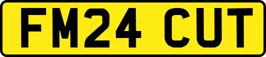 FM24CUT