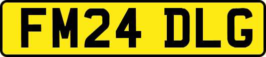 FM24DLG