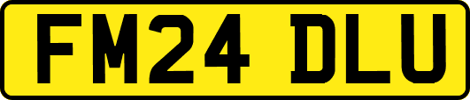 FM24DLU