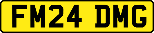 FM24DMG
