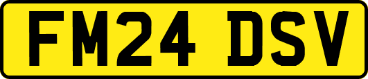 FM24DSV
