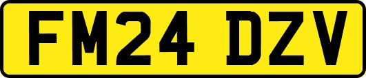FM24DZV