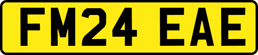 FM24EAE