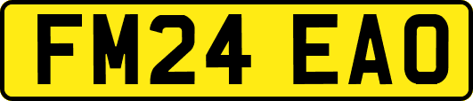 FM24EAO