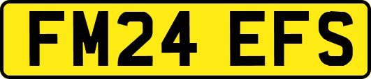 FM24EFS