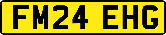 FM24EHG