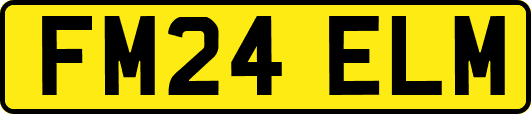 FM24ELM