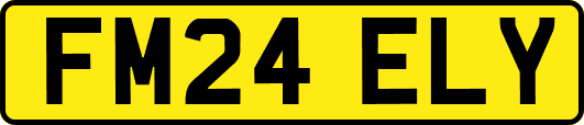 FM24ELY