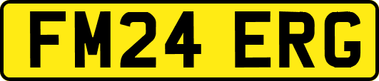 FM24ERG