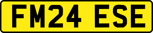 FM24ESE