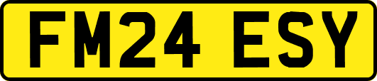 FM24ESY