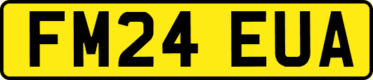 FM24EUA