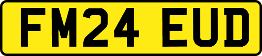 FM24EUD