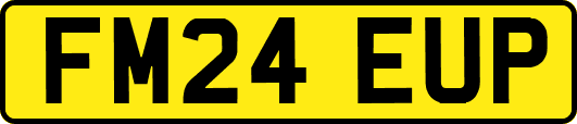 FM24EUP