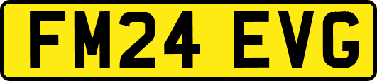 FM24EVG