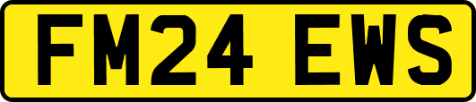 FM24EWS