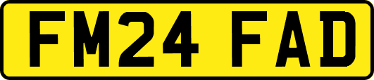 FM24FAD