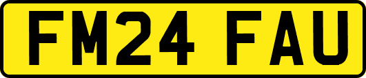 FM24FAU