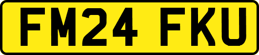 FM24FKU