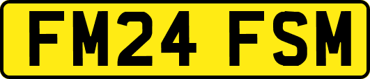 FM24FSM