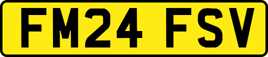 FM24FSV