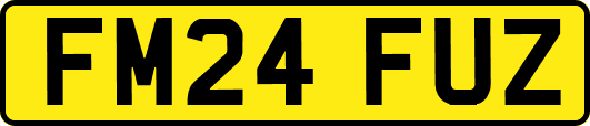 FM24FUZ