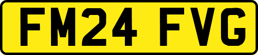 FM24FVG