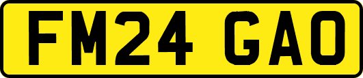 FM24GAO