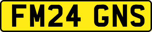 FM24GNS