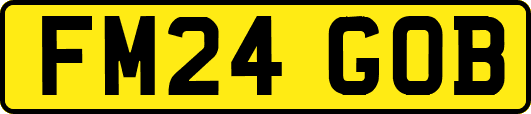 FM24GOB