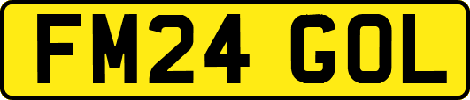 FM24GOL