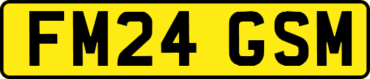 FM24GSM
