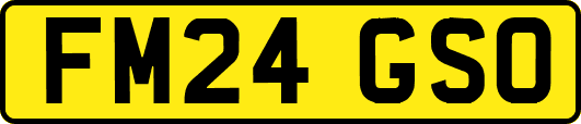 FM24GSO