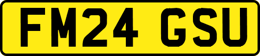 FM24GSU