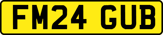 FM24GUB