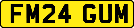 FM24GUM