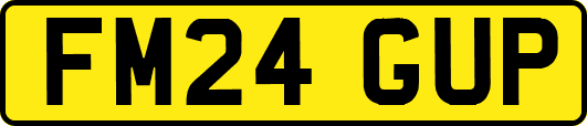 FM24GUP
