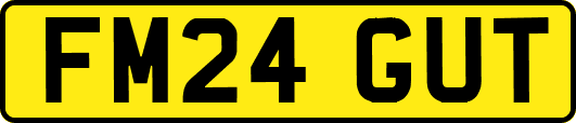 FM24GUT