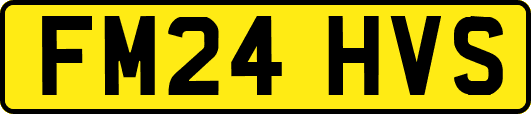 FM24HVS
