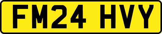 FM24HVY